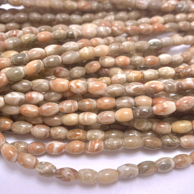 Natural Fossil Coral Tube Beads, 4x6mm Earthy Brown, Beige & Peach Tones