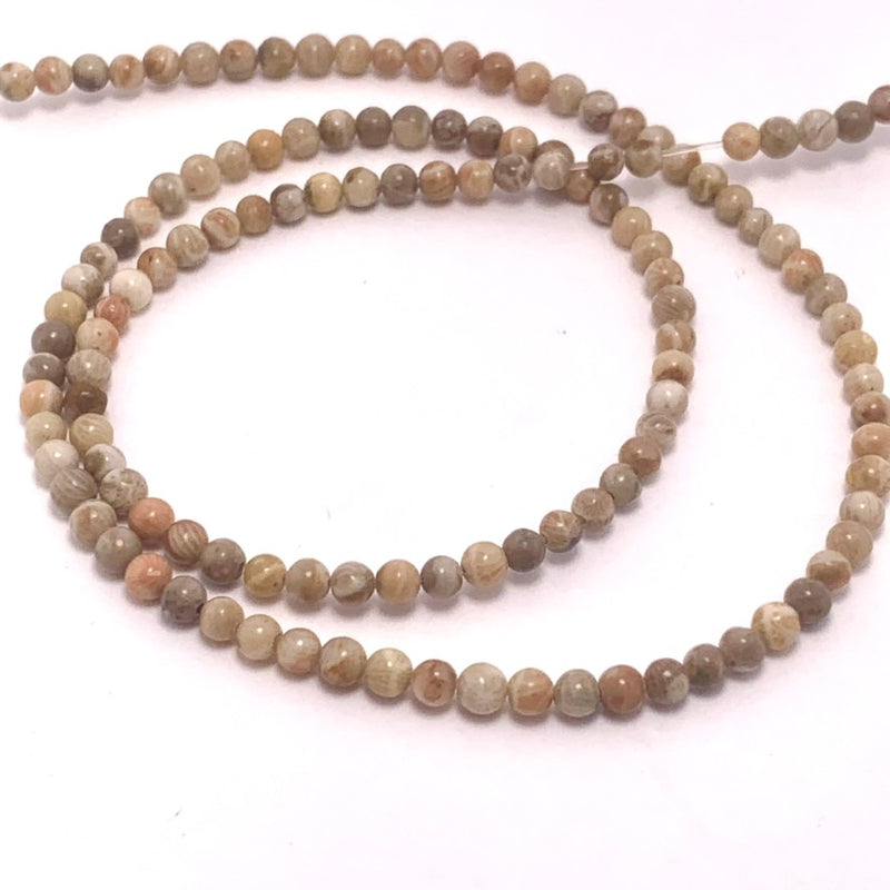 Natural Fossil Coral Round Beads, 3mm