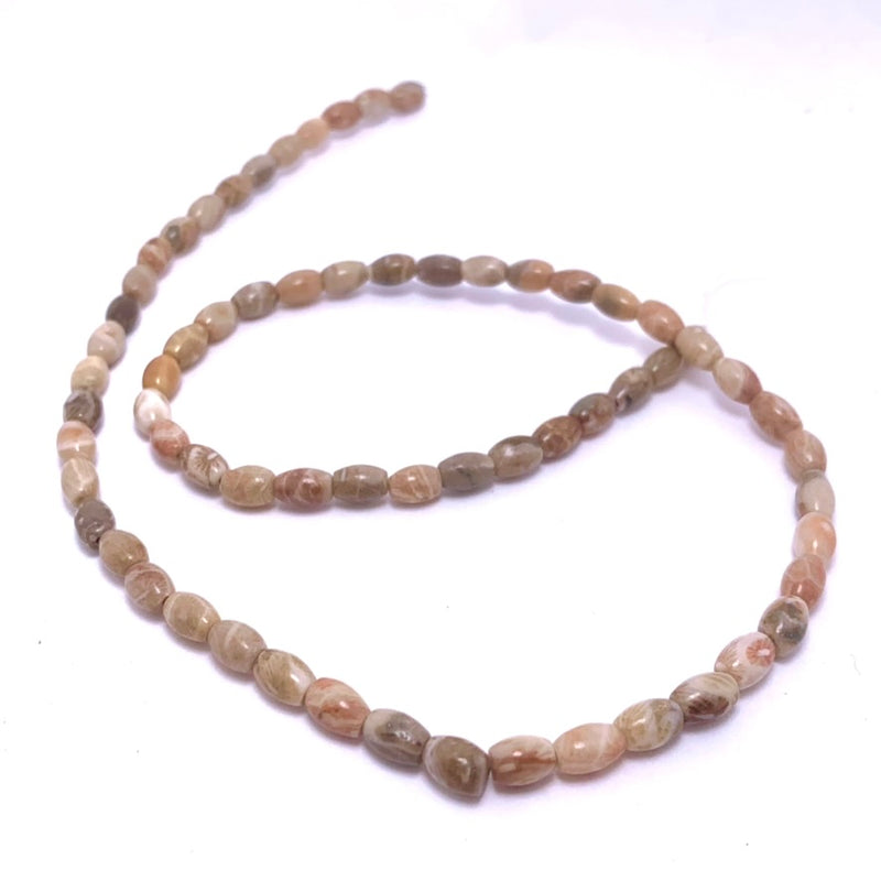Natural Fossil Coral Round Beads, 3m,  Earthy Brown, Beige & Peach Tones