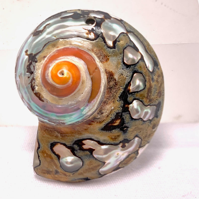 Orange and Brown Nautilus Shell Pendant