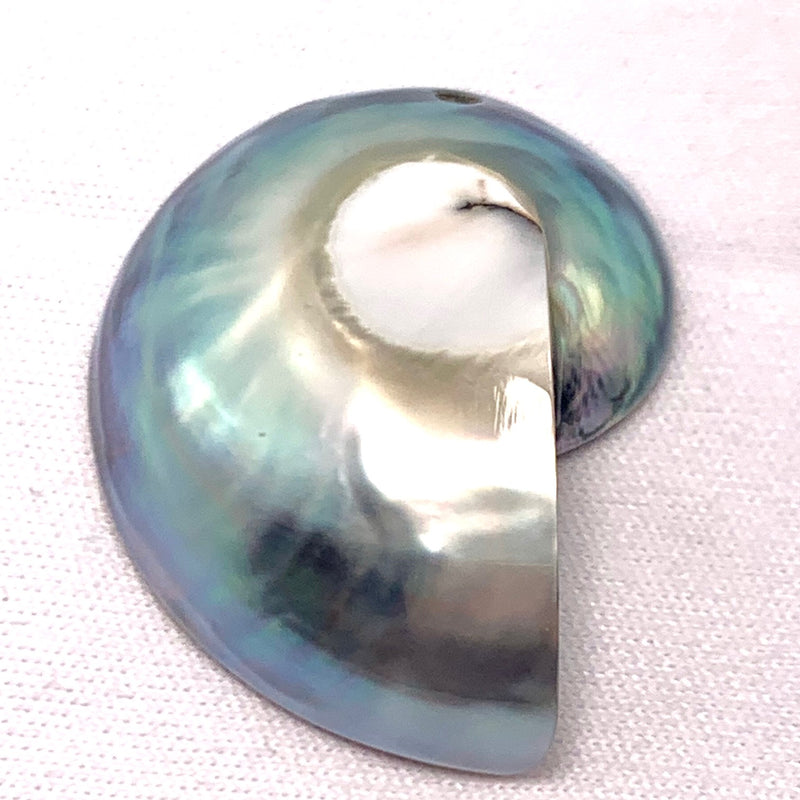 Nautilus Shell Pendant,
