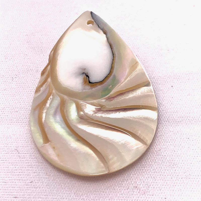 Nautilus Shell Drop Pendant