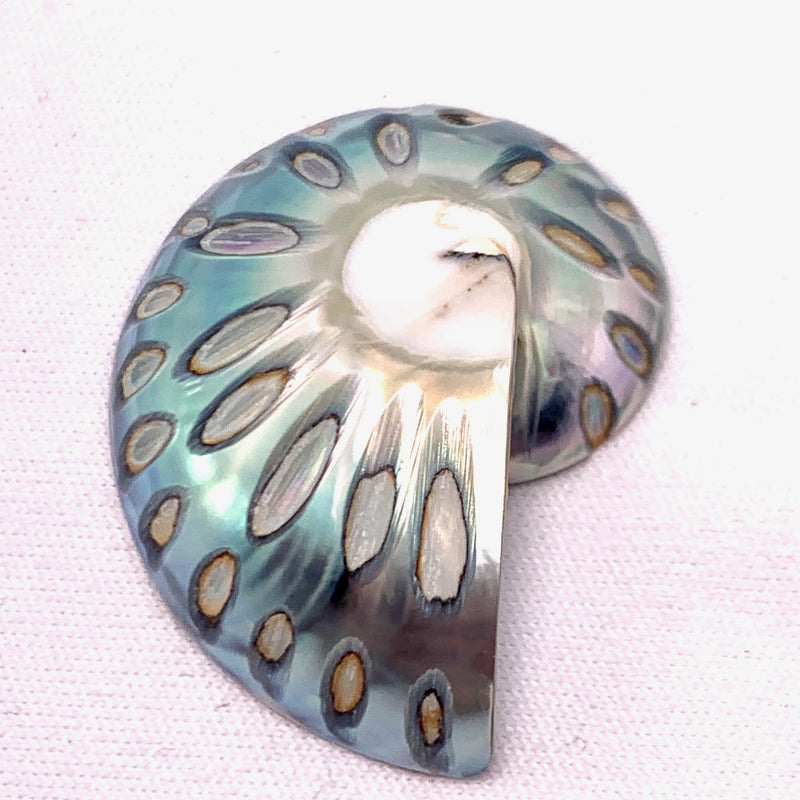 Nautilus Shell Pendant,