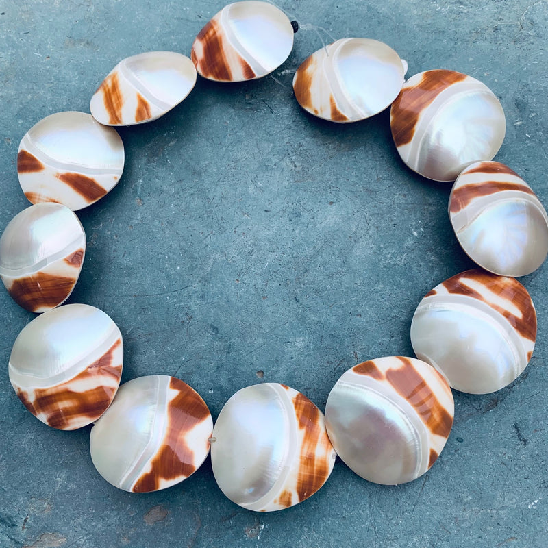 Puffed Moonstone Tiger Shell Beads, 35mm
