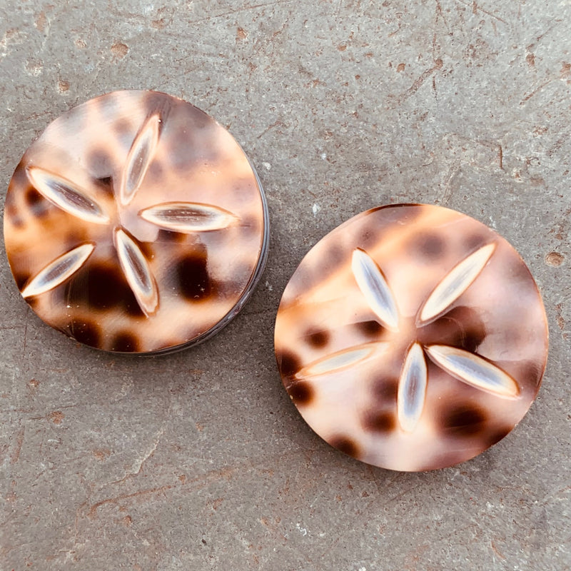 Starfish Shell Coin Bead, 20mm