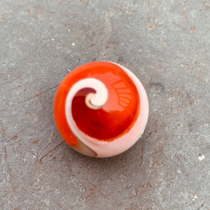 Resin and Shell Inlay Bead 19mm