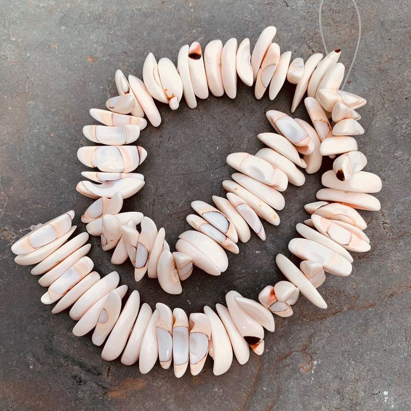 Crescent Shaped Conch Shell Beads