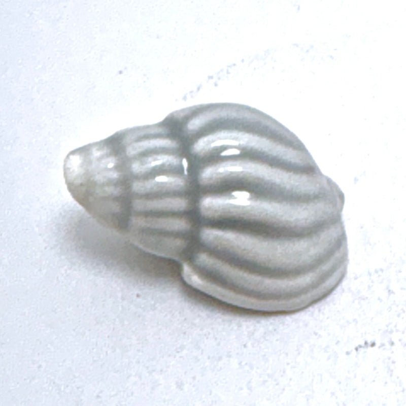 Colored Ceramic Turbine Shell Beads, Sold Individually