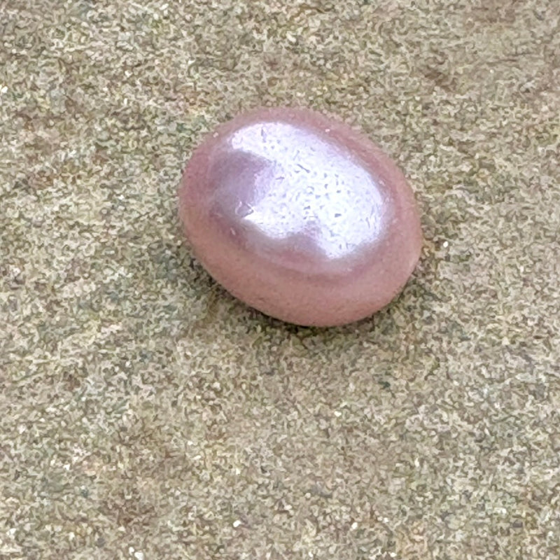 Mother of Pearl Egg Shaped Beads, 16x18mm