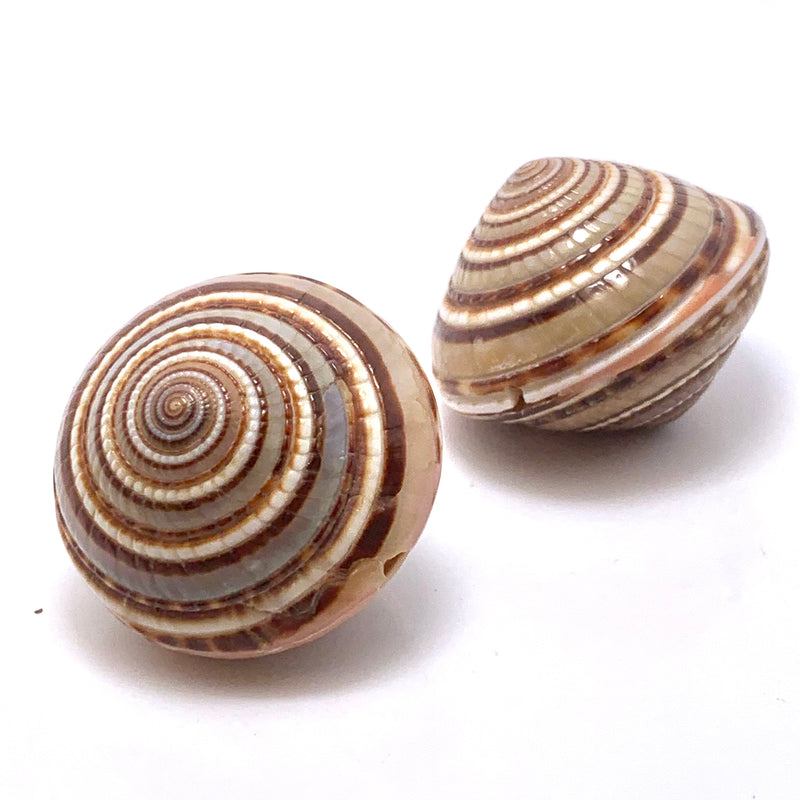Two-Sided Nautilus Shell Focal Bead – 30mm (Natural Tones)