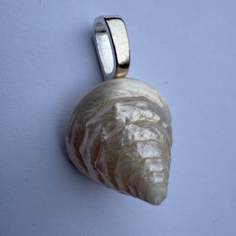 Trochus Shell Pendant with Silver Bail