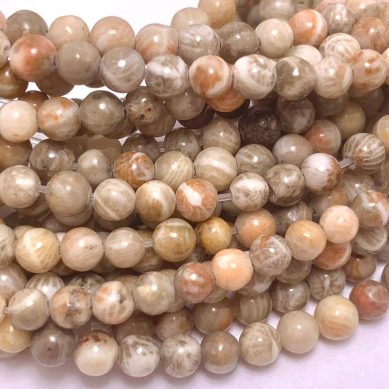 Natural Fossil Coral Round Beads, 3m,  Earthy Brown, Beige & Peach Tones