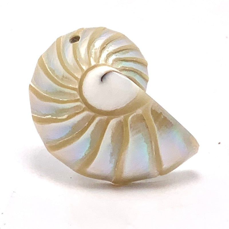 Nautilus Philippine Shell 9 Cut Champagne Pearl Tiger's Eye with Grooving Pendant