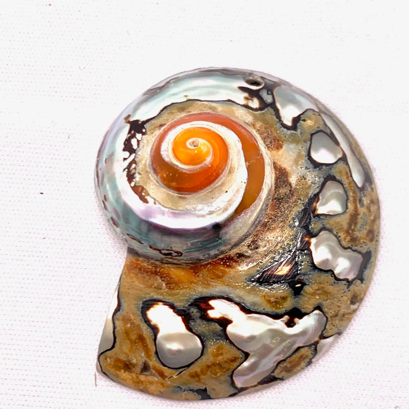 Orange and Brown Nautilus Shell Pendant