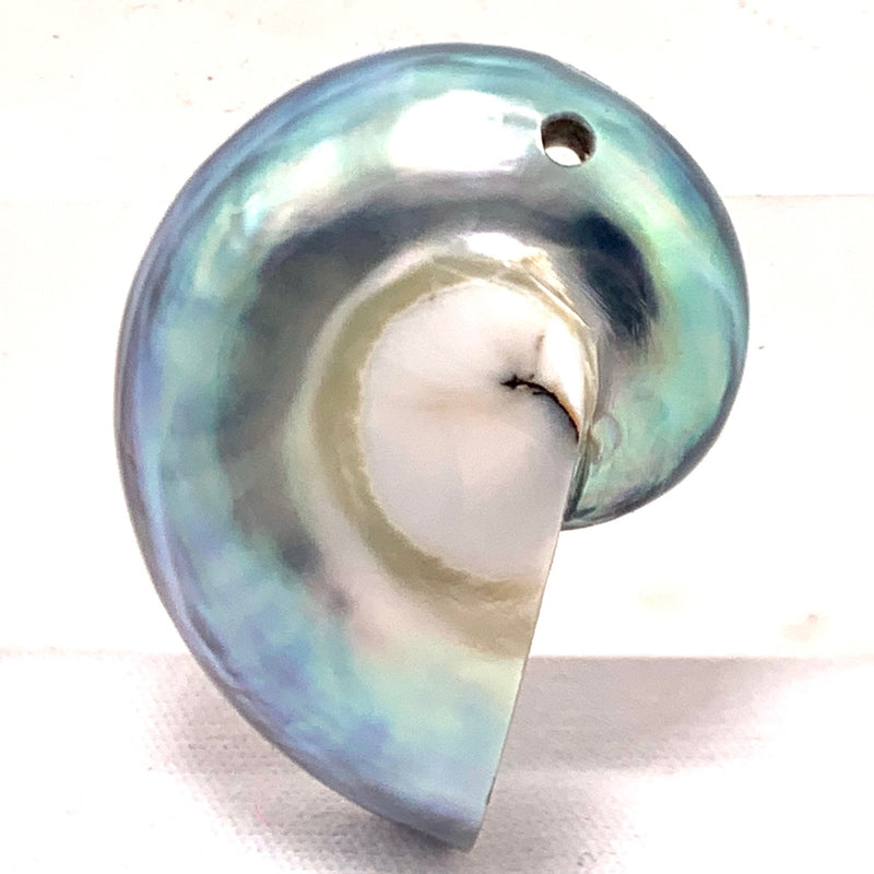 Nautilus Shell Pendant,