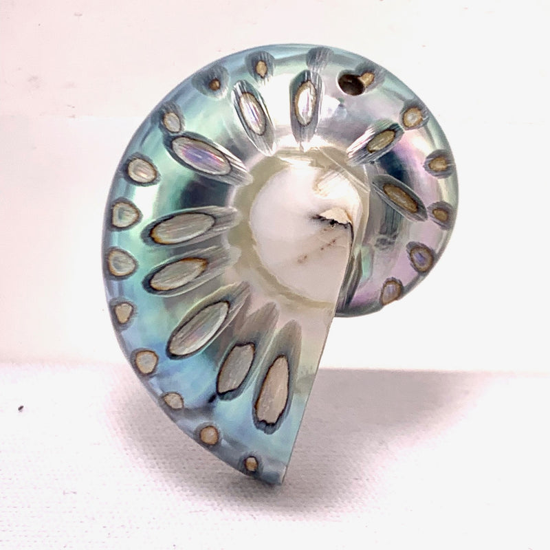 Nautilus Shell Pendant,