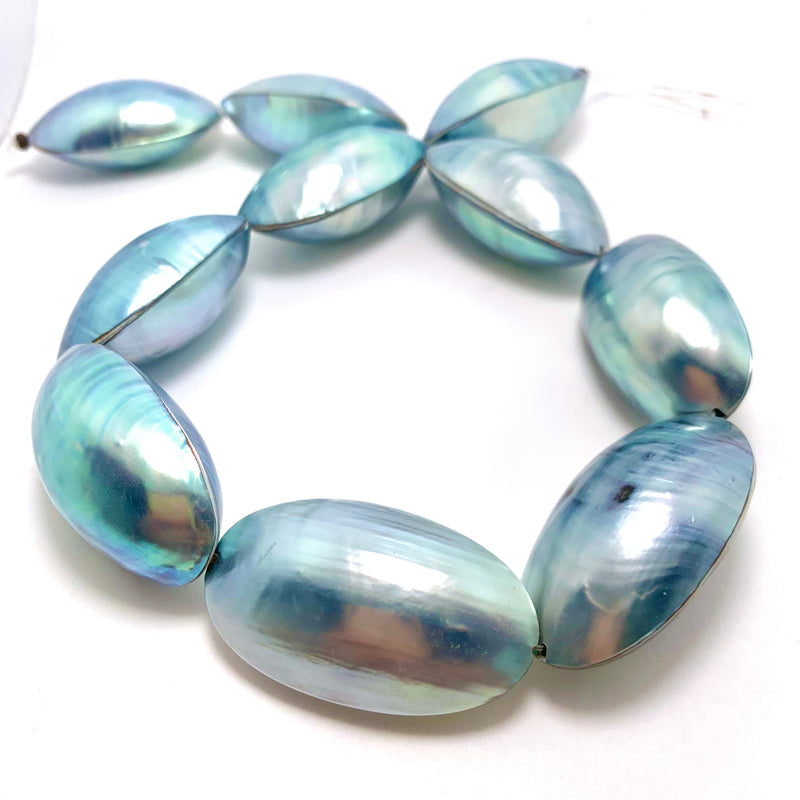 Osmena Blue Nautilus Shell Beads, 40 mm