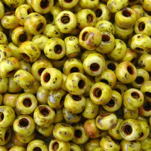 11/0 Miyuki Round Seed Beads Canary Yellow Matte Picasso 24g