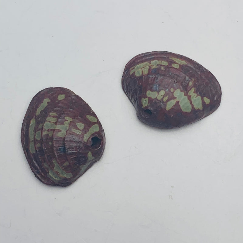 Clam Shell Pendant Pairs by Keith OConnor, Stoneware 22mm