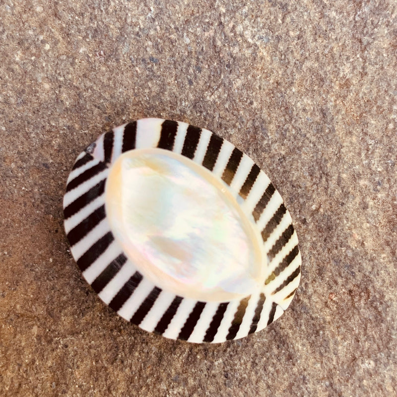 Zebra Shell with Inlay Bead