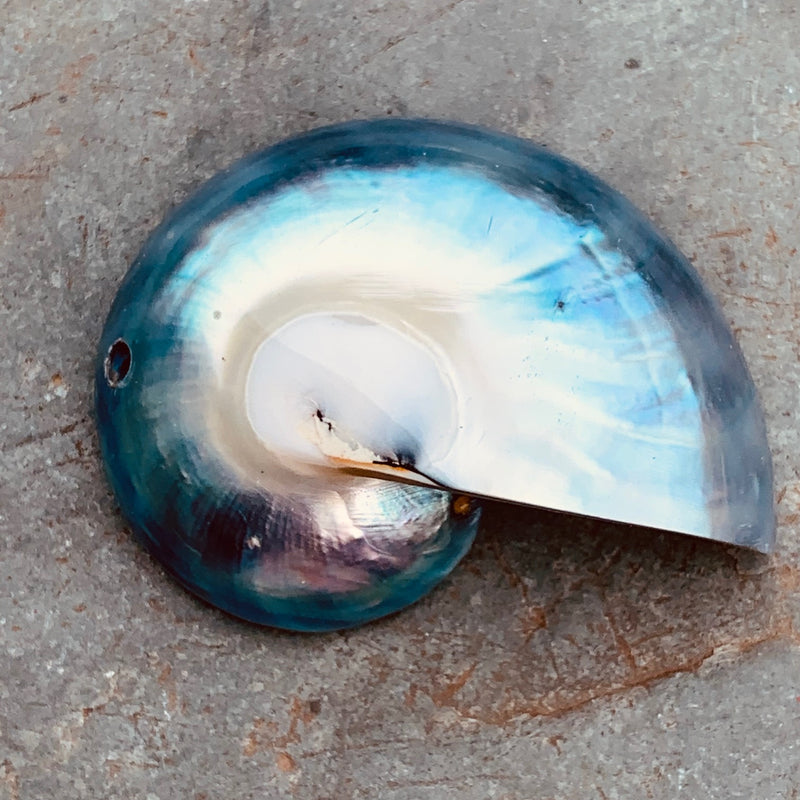 Nautilus Shell Pendant