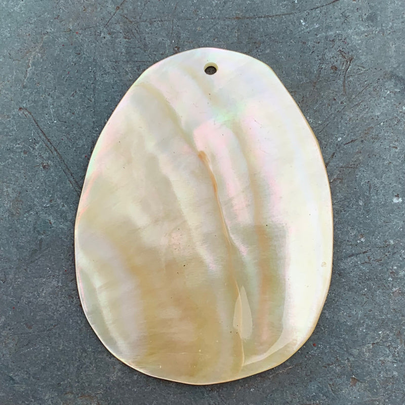 Shell Drop Pendant, 52mm