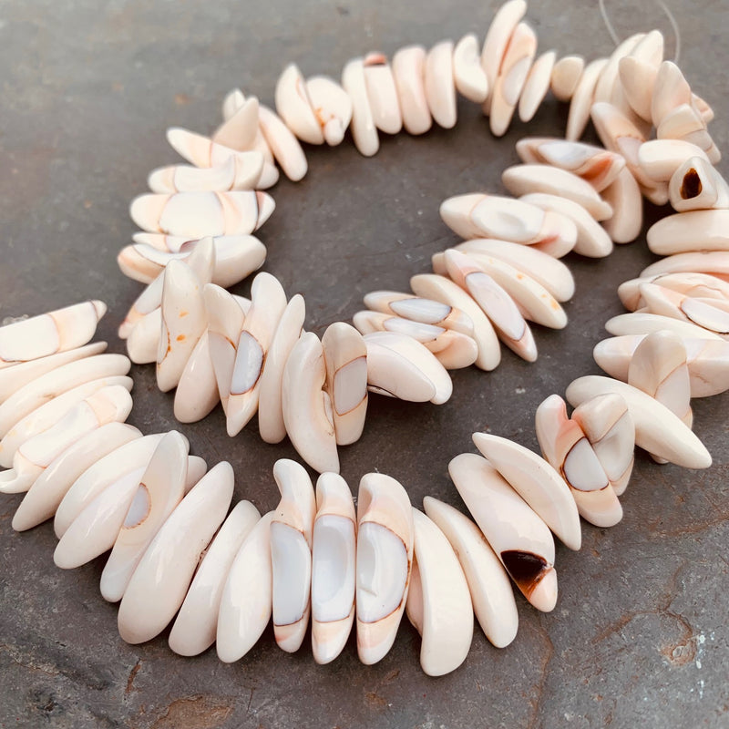 Crescent Shaped Conch Shell Beads
