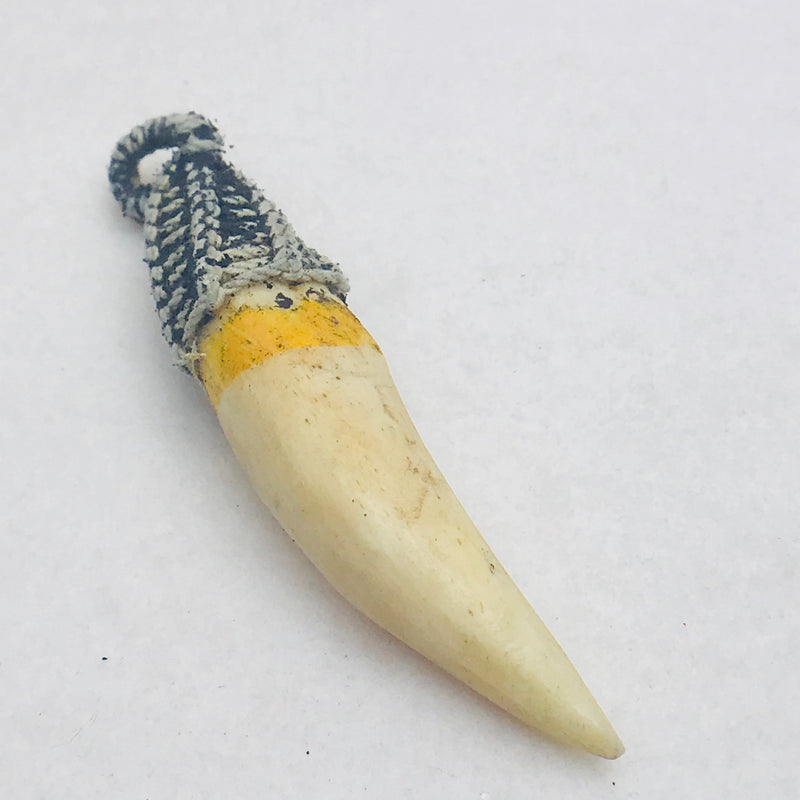Boars Tooth Pendant, 78x16mm